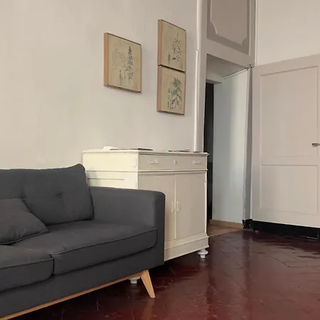 Papavero Piazza Delfino Bergame